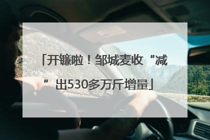 开镰啦！邹城麦收“减”出530多万斤增量